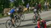 Der zweimalige Langdistanz-Weltmeister Jan Frodeno hat am Sonntag einen ungefährdeten Sieg beim Allgäu-Triathlon in Immenstadt gefeiert. Zwei Tage nach seinem 36. Geburtstag setzte sich der prominenteste Starter und Ironman-Gewinner über die Mitteldistanz von 1,9 Kilometer Schwimmen, 84 Kilometer Radfahren und 20 Kilometer Radfahren durch. Bei den Frauen gewann Langdistanz-Weltmeisterin Daniela Ryf aus der Schweiz die 35. Auflage des Allgäu-Triathlons. Hier gibt es die besten Bilder unserer Fotografen.