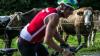 Der zweimalige Langdistanz-Weltmeister Jan Frodeno hat am Sonntag einen ungefährdeten Sieg beim Allgäu-Triathlon in Immenstadt gefeiert. Zwei Tage nach seinem 36. Geburtstag setzte sich der prominenteste Starter und Ironman-Gewinner über die Mitteldistanz von 1,9 Kilometer Schwimmen, 84 Kilometer Radfahren und 20 Kilometer Radfahren durch. Bei den Frauen gewann Langdistanz-Weltmeisterin Daniela Ryf aus der Schweiz die 35. Auflage des Allgäu-Triathlons. Hier gibt es die besten Bilder unserer Fotografen.
