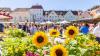 Es ist Rätselzeit! Teste Dein Wissen und stell' unter Beweis, dass Du den Sommer im Allgäu nicht verschlafen hast...