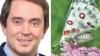 Michael Mang ist ein Apollofalter.