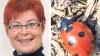 Agnes Hierl ist ein Marienkäfer.