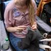 Am weltweiten Tag des Strickens kamen in Memmingen 189 Menschen zusammen, um gemeinsam am neuen deutschlandweiten Rekord zu stricken. Sieh hier die Bilder in unserer Galerie.