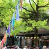 Am weltweiten Tag des Strickens kamen in Memmingen 189 Menschen zusammen, um gemeinsam am neuen deutschlandweiten Rekord zu stricken. Sieh hier die Bilder in unserer Galerie.