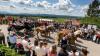 Blauer Himmel zum Höhepunkt: 82 Gruppen zogen am Sonntag zum Ausklang des Bezirkmusikfests 2019 durch Schrattenbach. Hier gibt's alle Fotos!