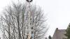 Der Maibaum in Pless bei der Kirche.