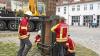 Mitglieder der Freiwilligen Feuerwehr Heimertingen haben den Maibaum im Ort am Freitag, 30. April, aufgestellt.