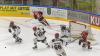Eishockey in Memmingen: Der ECDC Memmingen führte gegen den EHF Passau vor dem letzten Drittel mit 6:1 - nach einem kollektiven Blackout ging das Spiel noch mit 6:7 verloren. Die Bilder des Abends hier.
