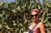 Luna von Eisenhart Rothe bei der Kaktusfeigen-Ernte auf Ibiza. Zusammen mit ihrem Mann und einem gemeinsamen Freund produziert die gebürtige Memmingerin Gin auf der Baleareninsel.