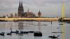 In Nordrhein-Westfalen sind die Pegel wie am sinken. Am Rheinufer in Köln schwimmt wie hier Treibgut.
