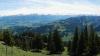 Bei einer Wanderung am Steineberg bietet sich eine tolle Aussicht. Die Route ist weniger überlaufen als beispielsweise der Weg zum Gaisalpsee und Rubihorn.
