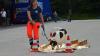 Die Hunde müssen beim Eignungstest zum Suchhund ihre Nervenstärke beweisen.
