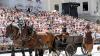 300 Pferde und über 40 Wagen zogen beim Wallenstein-Umzug am Sonntag durch die Memminger Innenstadt. Die besten Bilder des Spektakels hier in der Galerie.
