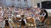 300 Pferde und über 40 Wagen zogen beim Wallenstein-Umzug am Sonntag durch die Memminger Innenstadt. Die besten Bilder des Spektakels hier in der Galerie.