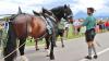 Zu Gast beim Trachtenverein „D´Schloßbergler“: Hunderte Trachtler feierten in Hopferau am Wochenende beim Gaufest des Oberen Lechgau-Verbands. Unsere Bilder.