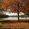 Achim Lüders auf Wiffertshausen fotografierte den Friedberger Baggersee samt herbstlicher Baumkulisse.