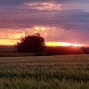 Angelika Müller aus Mering fotografierte die tiefstehende Sonne vom Berg hinter Meringerzell. 