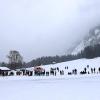 Er wollte den Rekord von 107 Meter knacken: Der Schweizer Apnoetaucher Peter Colat musste seinen Tauchversuch nach 75 Metern im eiskalten Vilsalpsee abbrechen.