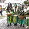 Bei Schneegestöber zogen die Narren durch Aichstetten. Rund 70 Gruppen waren beim Jubiläumssprung mit von der Partie. Die Bilder in unserer Galerie.
