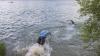 Beim 32. Unterallgäuer Triathlon schwitzen am Samstag hunderte Teilnehmer.
Sieger Männer: Sieger Darren Alcock (TV Memmingen) in 02:03:23. Zweiter wurde Gian Gmünder aus der Schweiz (HomeOfTriathlon) in 02:05:36. Dritter wurde Fabian Warmdt (RSC Auto Brosch) in 02:10:16.
Sieger Frauen: Siegerin Sigrid Mutscheler (Ruhepuls40 - SG) in 02:17:0. Zweite wurde Sophie Steinhauser in 02:338:33 und Dritte wurde Franziska Gebele (BGO Racingteam) in 02:39:48.