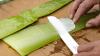 Köhlmeier stellt Kosmetikprodukte aus Aloe Vera her