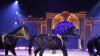Von Donnerstag, 31. August, bis Sonntag, 3. September, macht der weltbekannte Zirkus Krone auf dem Viehmarktplatz in Immenstadt Station. 222 Menschen, fast 100 Tiere und 120 Fahrzeuge gehören dem Tross an.