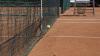 Nichts geht mehr: Aktuell sind alle Tennishallen in Bayern geschlossen - der Betrieb ruht, etliche Anlagen haben aber dennoch laufende Kosten.