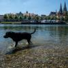 Regensburg ist nicht nur historisch und schön, sondern auch lebenswert: An der Donau kann man im Sommer baden und eine Auszeit nehmen.