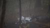 Wrackteile liegen in einem Wald bei Itterbach im Siebengebirge. Laut Polizei starben bei dem Absturz eines Kleinflugzeugs zwei Menschen.