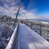 Das Skywalk Allgäu in Scheidegg ist ein beliebtes Ausflugsziel.