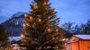 Die Nordmanntanne im Kurpark wurde eingepflanzt, weil Oberstdorf einen nachhaltigen Christbaum haben will. Die Nordmanntanne im Kurpark wurde eingepflanzt, weil Oberstdorf einen nachhaltigen Christbaum haben will.
