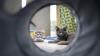 Die Katzen wurden mit einem "Panzertape" fixiert, teilweise auch über das Maul wie ein Knebel, wurde vor dem Amtsgericht in Sonthofen bekannt. (Symbolfoto)