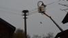 Der Energieversorger Lechwerke AG (LEW) hat die Stromleitungen rund um das Nest der Störche in Steingaden isoliert, damit es zu keinem Kurzschluss kommt.