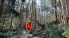 Allgäuer Waldbesitzer sorgen sich um Einnahmen aus dem Holzverkauf, aber auch um ihre eigene Energieversorgung.