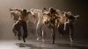 Zum Abheben ist der Festivalkalender 2024: Die italienische Choreografin Sofia Nappi kommt mit dem Ensemble „Komoco“ zum Kemptener Tanzherbst.