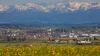 Die größte Stadt im Allgäu ist nicht Kempten und auch nicht Memmingen.