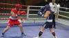 Frauensache: Regina Slobodyanikov (in Blau) ist eines der Aushängeschilder des BCK – wie auch Ringrichter Alexander Darbisch (hinten). Nun soll in Kaufbeuren ein internationales Frauen Boxturnier etabliert werden – der vom 6. bis 8. September erstmals stattfindende European Fusion Cup.