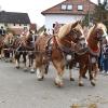 In Unterliezheim ist beim Leonhardiritt ein schwerer Unfall passiert. Deshalb fordert die Tierschutzorganisation Peta nun ein Kutschenverbot auf Prozessionen.