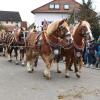 Der Leonhardiritt in Unterliezheim wird von einem Unfall überschattet. 