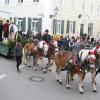 Pferde gehören beim Leonhardiritt auch in Inchenhofen dazu. Sie ziehen die zahlreichen Kutschen und reiten beim Umzug mit.