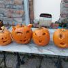 Marja Popova, neun Jahre alt, und ihr Bruder Konstantin, fünf, haben mit den Nachbarskindern Hanna (neun) und Felix (sechs) diese originellen Halloween-Kürbisse geschnitzt. 