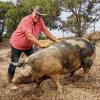 Olaf (70) aus Portugal.