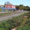 In der Luitpoldstraße wurden direkt neben dem Friedberger Bahnhof mehrere Bäume gefällt.