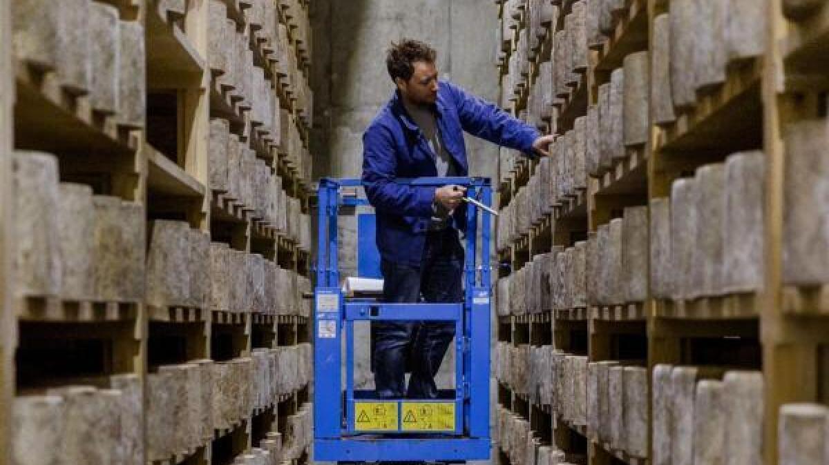 Arrested after stealing 22 tonnes of cheese in London