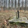 Solche Betonfundamente kann man im Siebentischwald finden. Hier stand im „Dritten Reich“ ein Flugabwehrturm. 