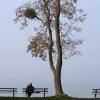 Der November bringt Nebel in Bayern. (Archivbild)