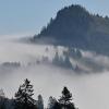 Vor allem im Alpenvorland soll es laut DWD dichten Nebel geben.