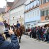 Beim großen Leonhardiritt in Lauingen konnten die Zuschauerinnen und Zuschauer wieder zahlreiche Kutschen, Gespanne und Pferde hautnah erleben. 