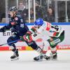 Die nächste Pleite: Chris Collins (rechts) und die Augsburger Panther verloren beim ERC Ingolstadt (Leon Hüttl) mit 1:4. 