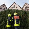 Bis der Baum steht, dauert es rund drei Stunden. (Archivfoto)