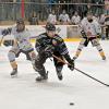 Der Burgauer Eishockeyspieler Marvin Mändle jagt dem Puck hinterher. Auch am Freitagabend lautet das Ziel natürlich wieder: gewinnen. 